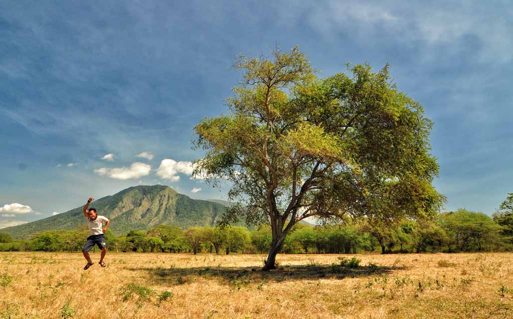 A picture of Baluran national park