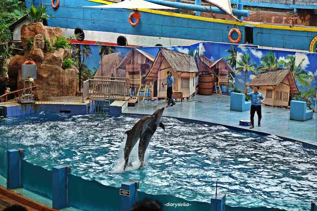 Dolphin attraction at Safari Park 2 Prigen