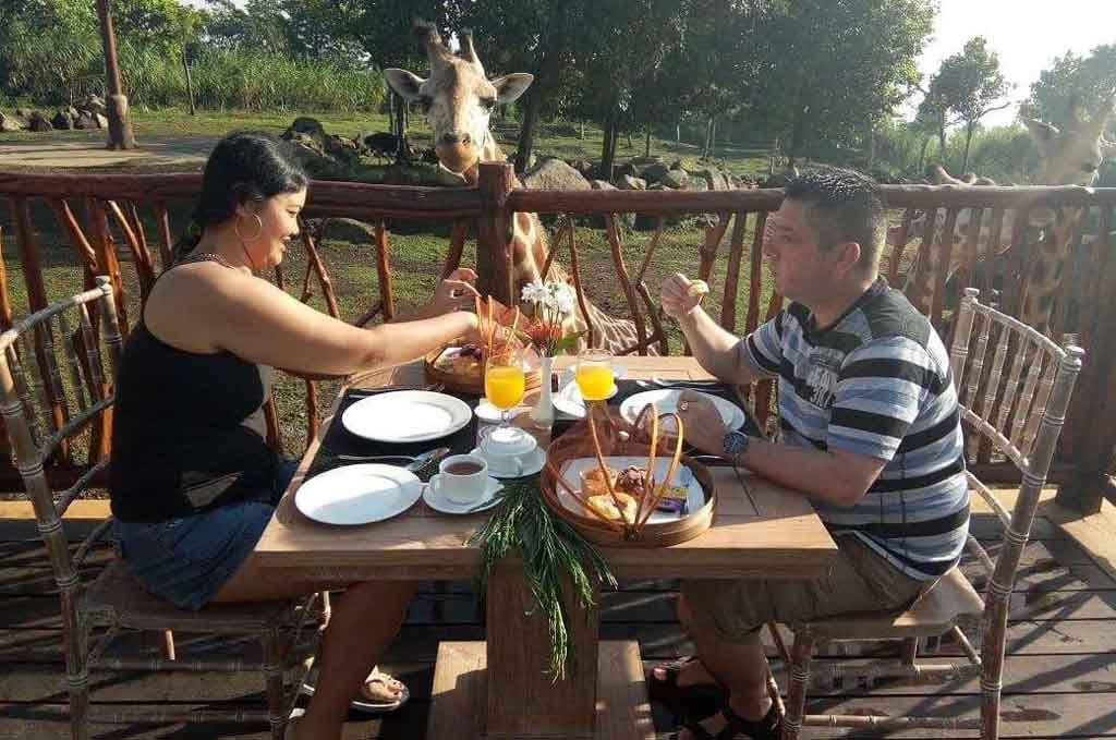 Enjoying lunch at Safari Park 2 Prigen
