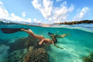 Snorkeling in Wakatobi