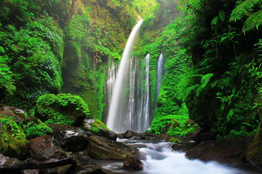 Tiu Kelep waterfall - Senaru