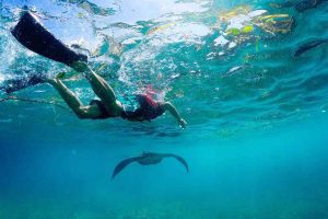 Nusa Penida snorkeling with Manta
