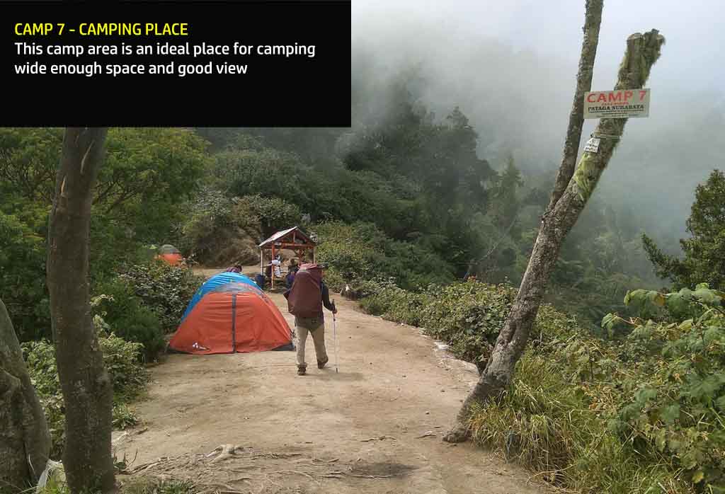 Camp 7 - Raung hiking via Kalibaru - Ideal place for camping
