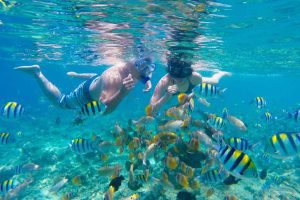 Snorkeling Thousand Islands - Jakarta