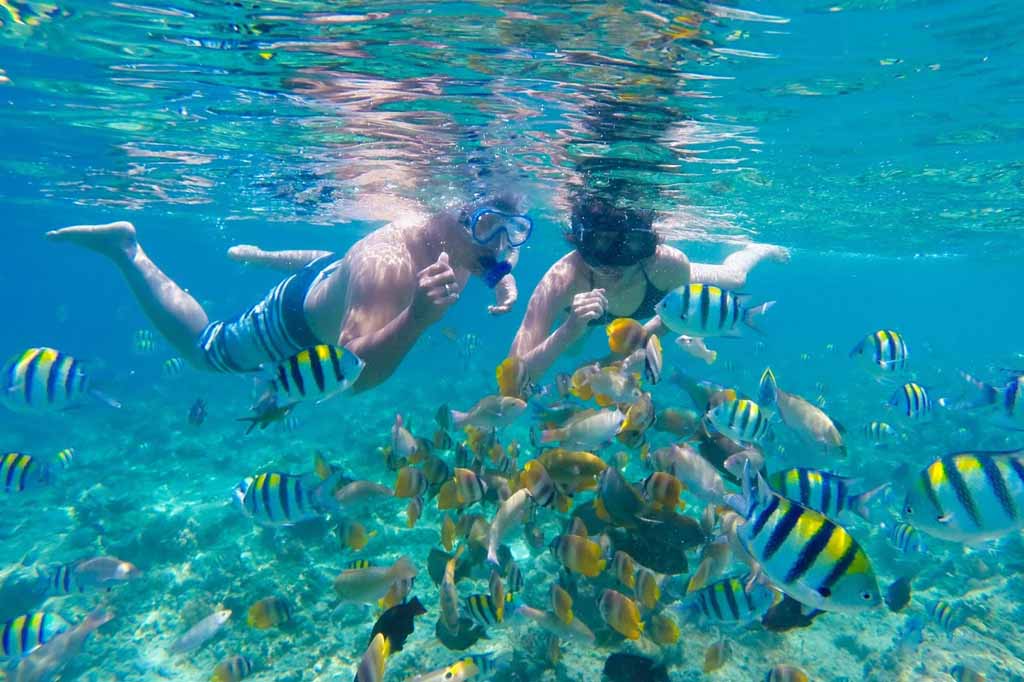 Snorkeling Thousand Islands - Jakarta
