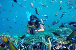 Snorkeling around Harapan island - Thousand Islands