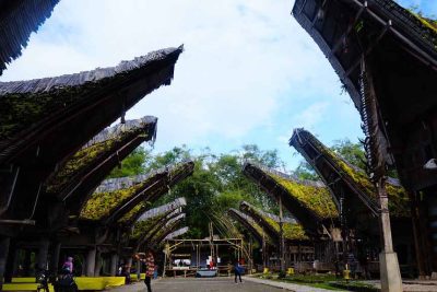 Kete Kesu - traditional village of Tana Toraja