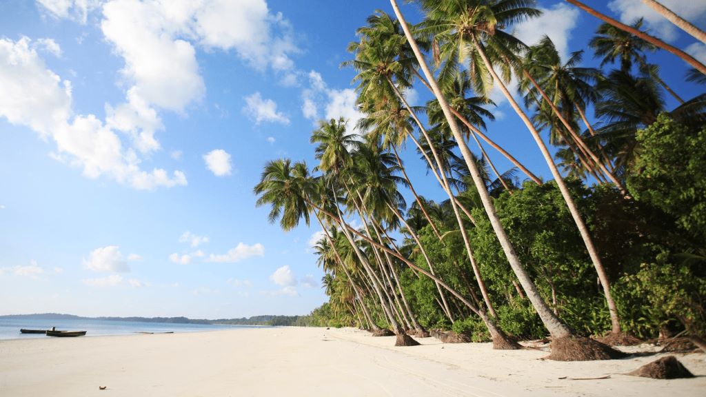 A beautiful white sandy beach of Kei islands